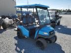 2022 Golf Cart Bintelli