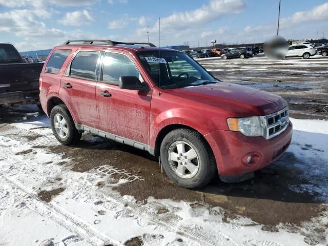 2010 Ford Escape XLT