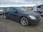 2007 Nissan Maxima SE