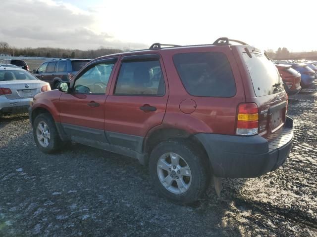 2005 Ford Escape XLT