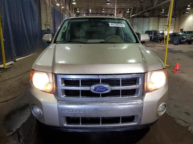 2011 Ford Escape Limited