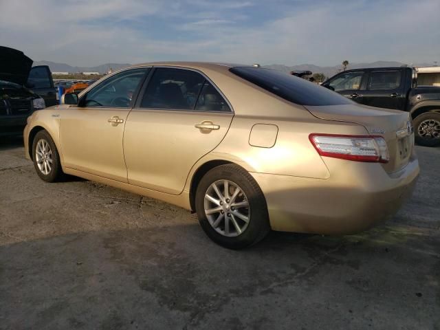 2010 Toyota Camry Hybrid