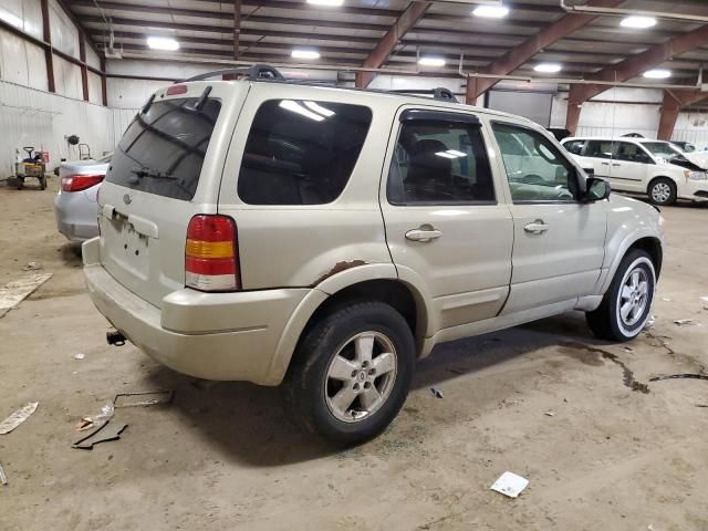 2004 Ford Escape Limited