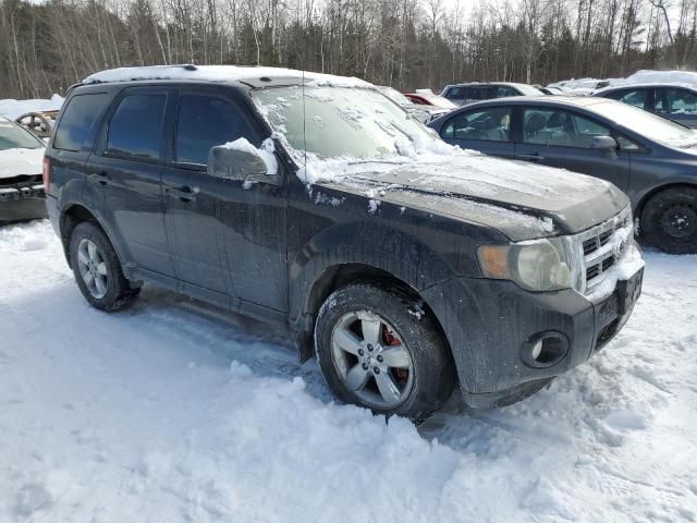 2009 Ford Escape XLT