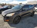 2013 Ford Escape S