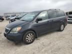 2008 Honda Odyssey EXL