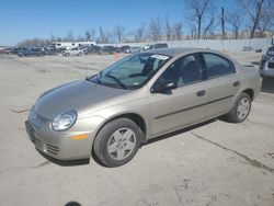 Salvage cars for sale at Bridgeton, MO auction: 2003 Dodge Neon SE