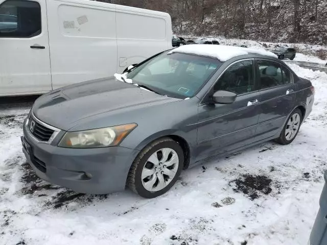 2008 Honda Accord EXL