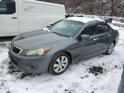 Honda Accord salvage cars for sale: 2008 Honda Accord EXL