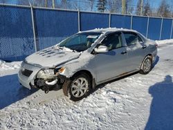 Salvage cars for sale from Copart Moncton, NB: 2010 Toyota Corolla Base