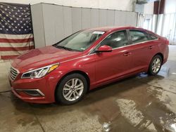 Salvage cars for sale at Avon, MN auction: 2016 Hyundai Sonata SE