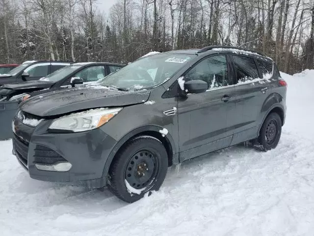 2015 Ford Escape SE