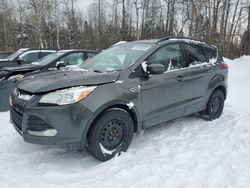 Salvage cars for sale from Copart Cookstown, ON: 2015 Ford Escape SE