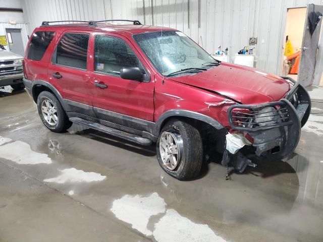 2004 Ford Escape XLT