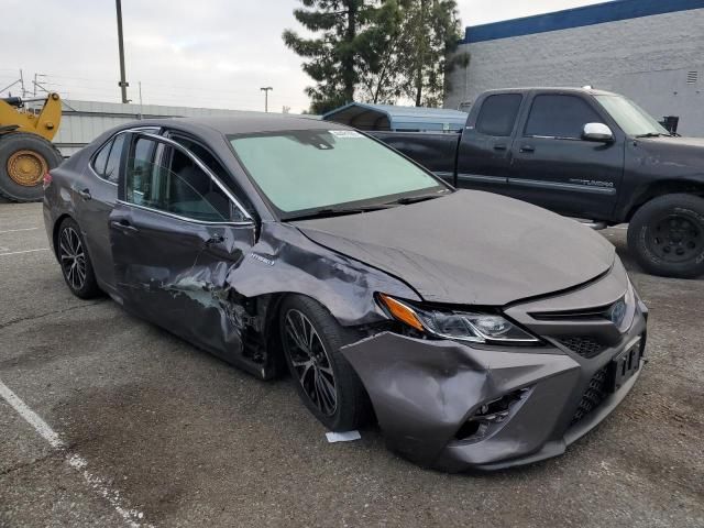 2019 Toyota Camry Hybrid