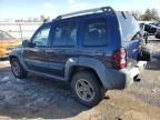 2006 Jeep Liberty Renegade