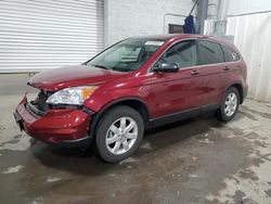 Salvage cars for sale at Ham Lake, MN auction: 2011 Honda CR-V SE