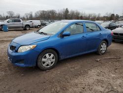 Salvage cars for sale at Chalfont, PA auction: 2009 Toyota Corolla Base