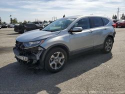 Salvage cars for sale from Copart Rancho Cucamonga, CA: 2019 Honda CR-V EX