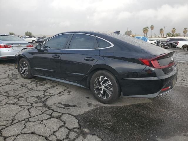 2023 Hyundai Sonata Hybrid