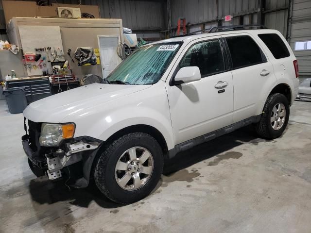 2011 Ford Escape Limited