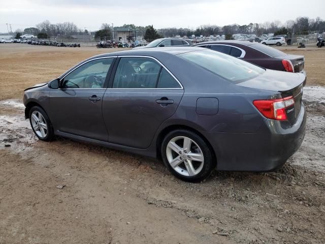 2013 Toyota Camry L