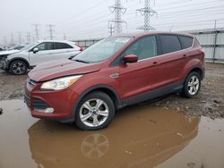 Carros con verificación Run & Drive a la venta en subasta: 2015 Ford Escape SE