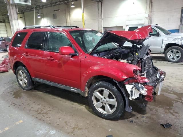 2011 Ford Escape Limited