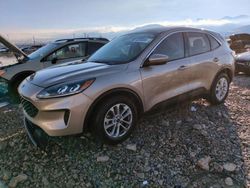 Salvage cars for sale at Magna, UT auction: 2021 Ford Escape SE