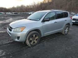 Salvage cars for sale at Marlboro, NY auction: 2010 Toyota Rav4