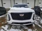 2025 Cadillac Escalade ESV Sport Platinum