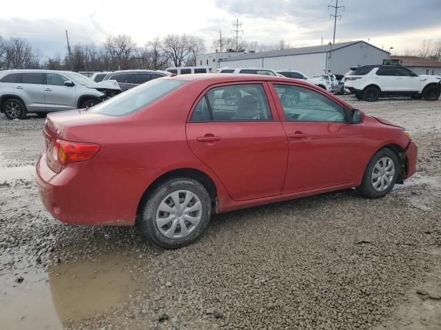 2010 Toyota Corolla Base