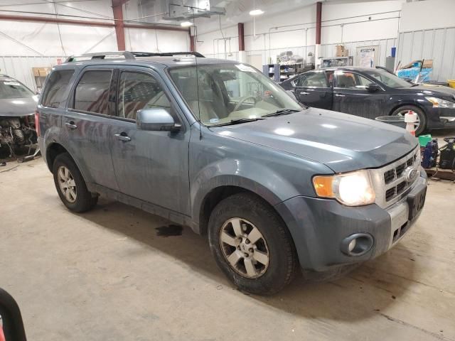 2010 Ford Escape Limited