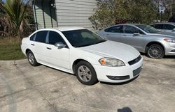 Salvage cars for sale at Apopka, FL auction: 2011 Chevrolet Impala LT