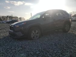 Salvage cars for sale at Mebane, NC auction: 2024 Toyota Rav4 XLE