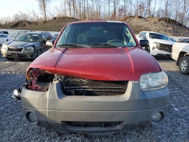 2005 Ford Escape XLT