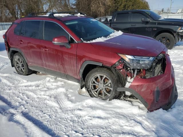 2023 Toyota Rav4 XLE