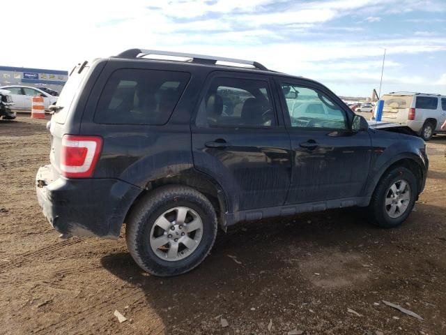 2012 Ford Escape Limited