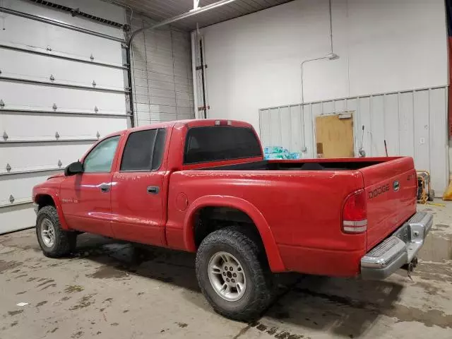 2000 Dodge Dakota Quattro