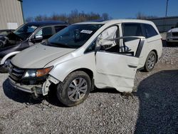 2016 Honda Odyssey EXL en venta en Lawrenceburg, KY