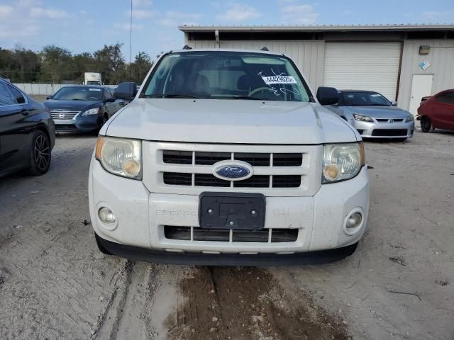 2009 Ford Escape Hybrid