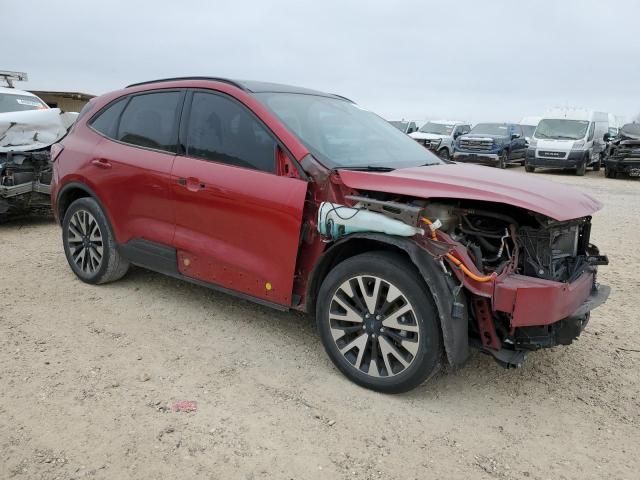 2020 Ford Escape SE Sport