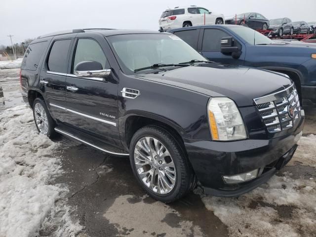 2014 Cadillac Escalade Luxury