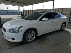 Salvage cars for sale at Anthony, TX auction: 2009 Nissan Maxima S