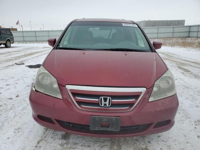 2005 Honda Odyssey EXL