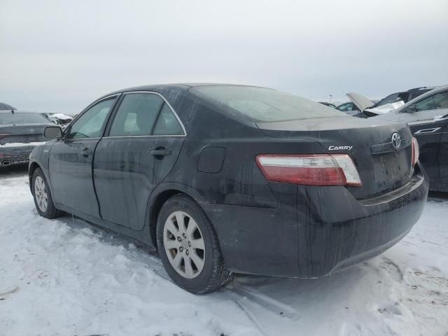 2007 Toyota Camry Hybrid