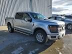 2024 Ford F150 XLT