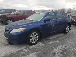 Salvage cars for sale at Wayland, MI auction: 2011 Toyota Camry Base