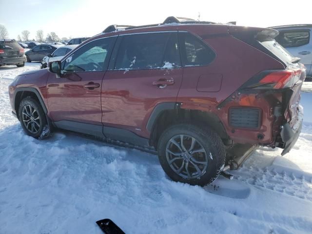 2023 Toyota Rav4 XLE