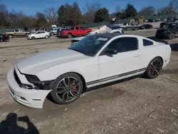 Salvage cars for sale at Madisonville, TN auction: 2014 Ford Mustang